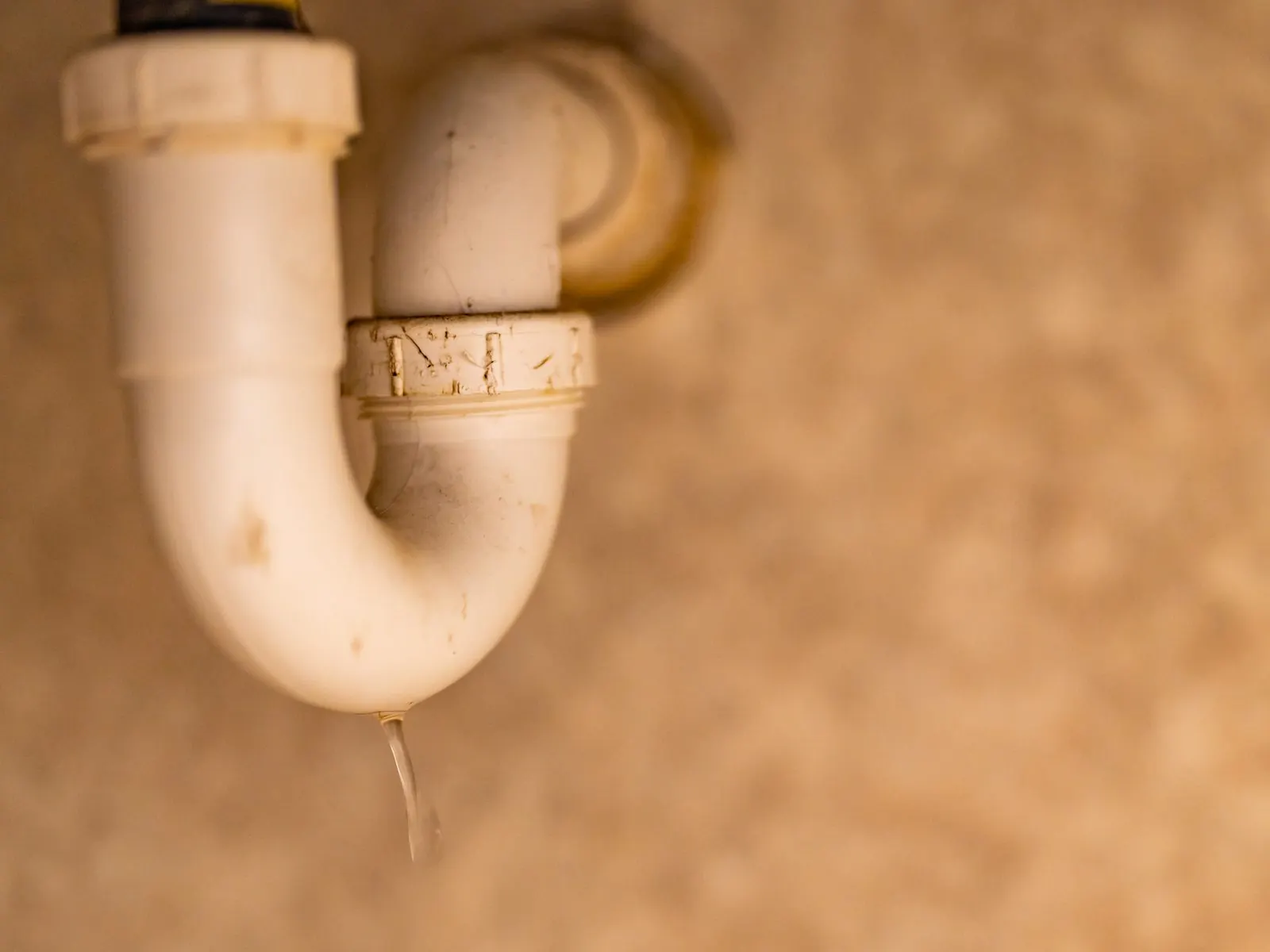 Sifón de plástico blanco bajo un lavabo goteando por la rosca de la unión