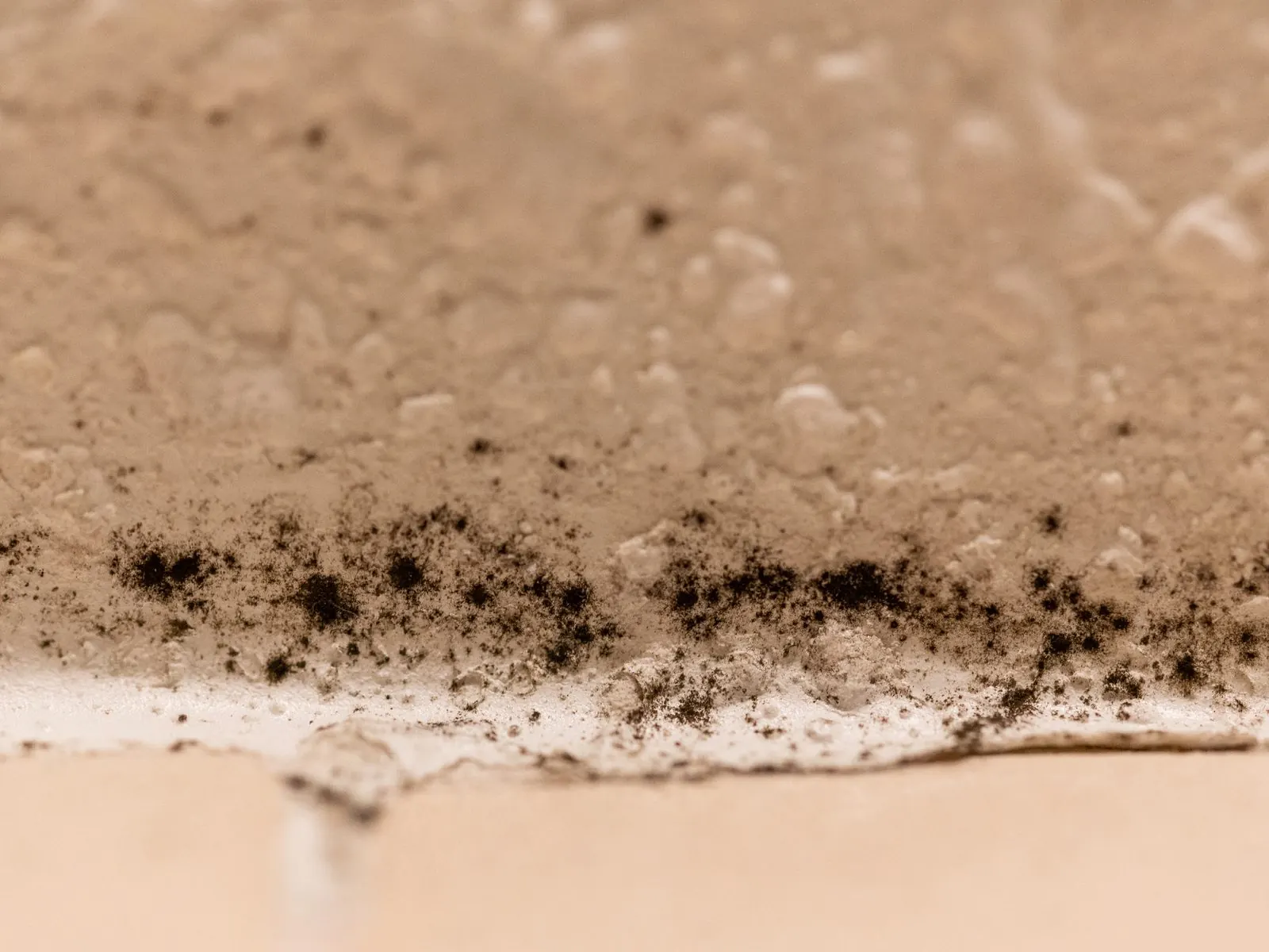 Puntos negros de moho en la parte baja de una pared pintada, vistos de cerca